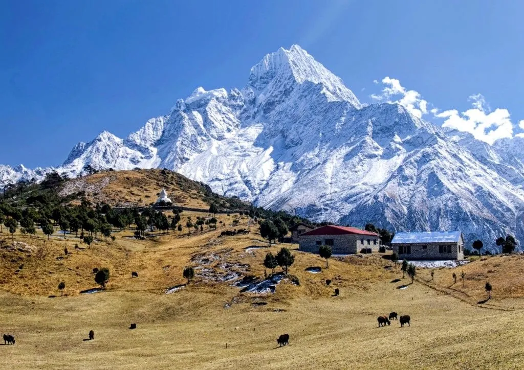 Trek to Phortse Thanga
